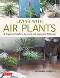 Living With Air Plants Hardcover