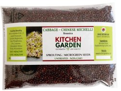 Cabbage Chinese Michelli Sprouting Seeds