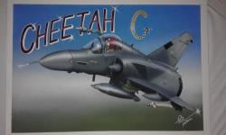 Cheetah C Painting By Ryno Cilliers Without Frame