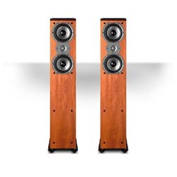 Polk audio hot sale tsi300