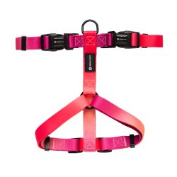 Lexi Harness - Dog Harness - Small