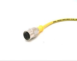 Radwell Verified Substitute 804000A090M150-SUB Cordset - M12 Female Straight 4-PIN 4-WIRE Yellow Pvc 15M Replaces Brad Harrison Part 804000A090M150