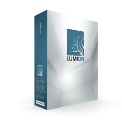 Lumion Standard Commercial Edition 12 Month Subscription