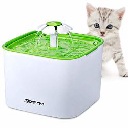 fresh water cat bowl