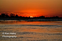 Photography Print - Chobe Sunset On Photographic Paper