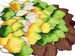 50 PC Anthurium MINI Rose Leaf Mulberry Paper Mixed Color Natural Skeleton Rubber Tiny Leaves 10 Mm Supplies Card Scrapbooking Artificial Embellishment Wedding Doll House Diy F027