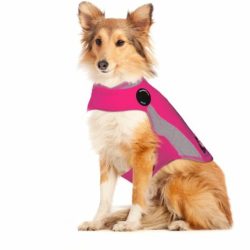 Polo Thundershirt Dog Anxiety Shirt - Pink Small Waggs Pet Shop