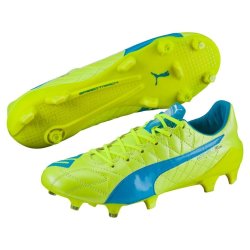 puma evospeed price