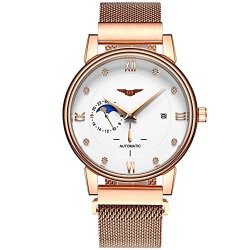 Guanqin Automatic Mechanical Waterproof Men's Wrist Watch Date Mesh Stainless Steel Strap Wrist Watch GJ16039