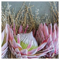 Floral Deep Pink King Protea Scatter Cushion