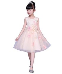 Venus Bridal Flower Girl Lace Dress With Colorful 3D Flower Sequins Light Pink Princess Dress CHILD11