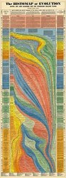 Histomap Of Evolution Size 16"X43" Scientific Research Map History Genetics Geology