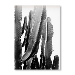 Fat Cactus Art Print - A4