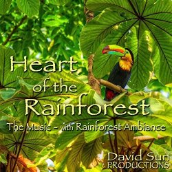 Heart Of The Rainforest