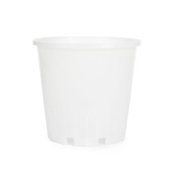 Orchid Plastic Pot Clear Large 18CM. - Large 18CM Top Dia 14CM Bottom Dia 17CM Height 2400ML Single 1PC . Slotted Holes On The Side.