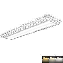 flush mount 4 ft led light