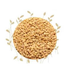 Natural Products Dried Fenugreek Seed Trigonella Foenumgraecum 100G