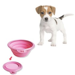What A Great Idea For Pets Practical Collapsible Space Saving Travel Pet Food water Bowl