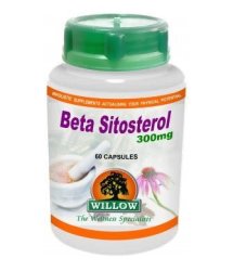 Willow - Beta Sitosterol 300MG 60 Capsules
