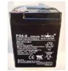 Power Kingdom BA1100T PS4-6 6V 4AH Battery