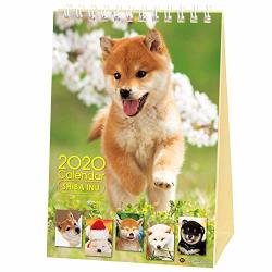 Shiba Inu Desktop Calendar 2020 With Adorable Shiba Dog Puppies' Pictures Desktop Calendar 2020