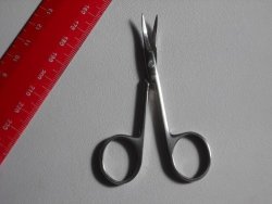 Qvs Scissor Curved Nail + Cuticle 100% Stainless Steel New Item