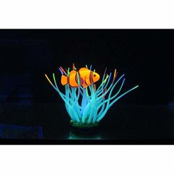 Aqua Lumo Silicon Fluorescent Sea Anemone With Clown Fish - Colours Vary