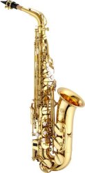 JAS500Q 500 Series Eb Alto Saxophone With Backpack Soft Case Lacquered Brass