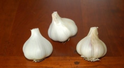 Seeds For Africa Susan Delafield Garlic - Heirloom Garlic - 1000 Cloves Susan Delafield Garlic