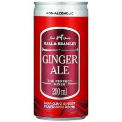 Ginger Ale 200ML - 24