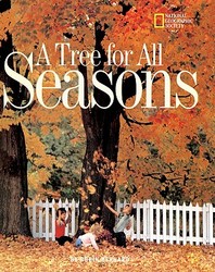 A Tree for All Seasons