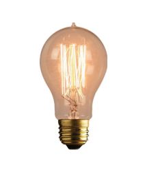 110-240V 40W Globe Type Carbon Filament Lamp E27