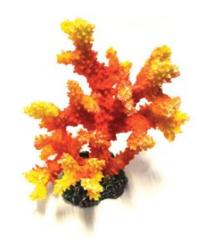 Ornament - Marine Coral
