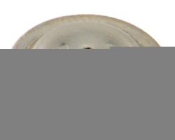 Geoline Cone Disc Stainless Steel D Diameter 1.0MM