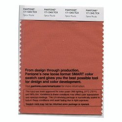 Pantone Smart Swatch 17-1345 Spice Route