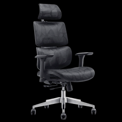 Wp Omega Ergonomic Office Chair
